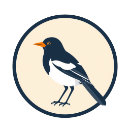 Clever Magpie